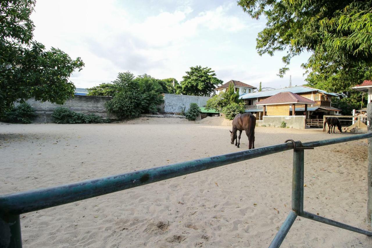 Mesari Beach Inn & Stables Seminyak Dış mekan fotoğraf